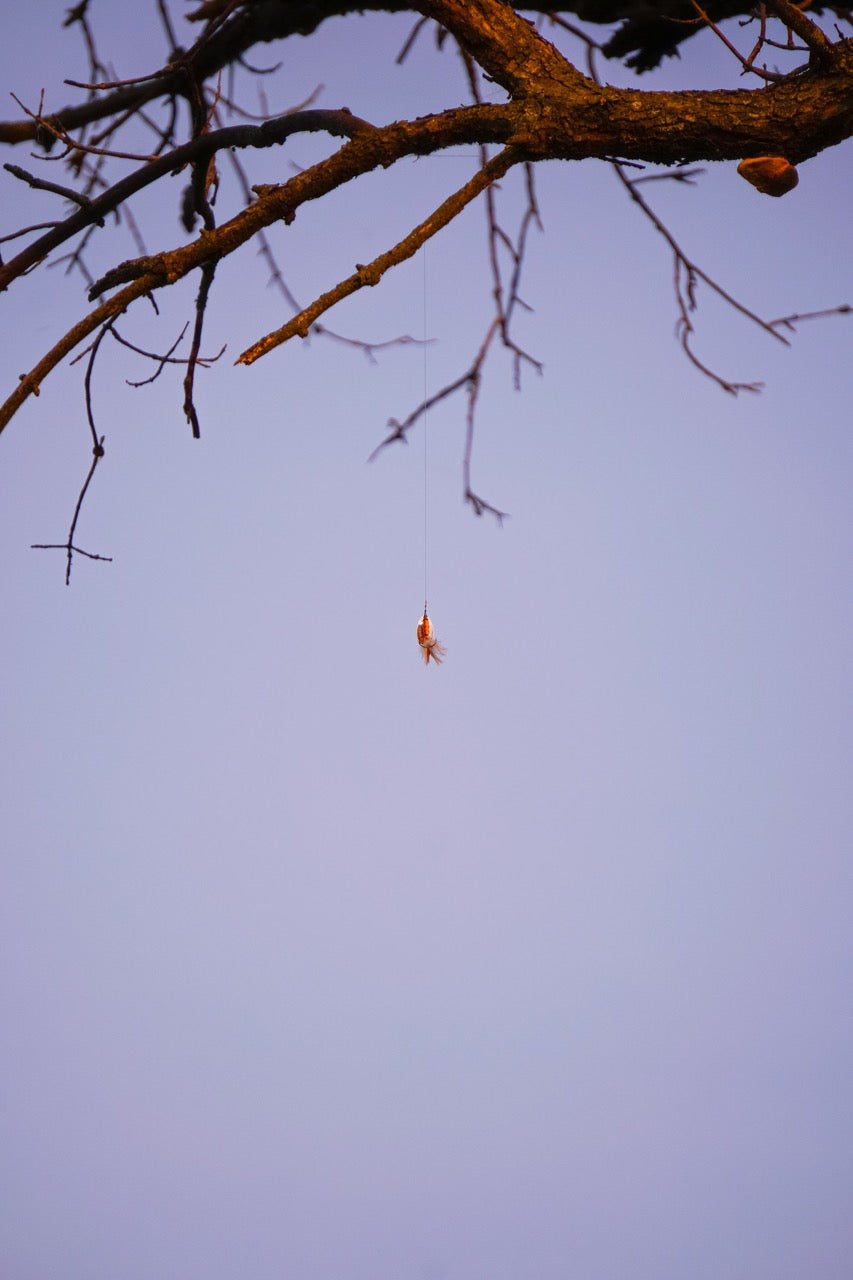 Arachnid Suspension Sky