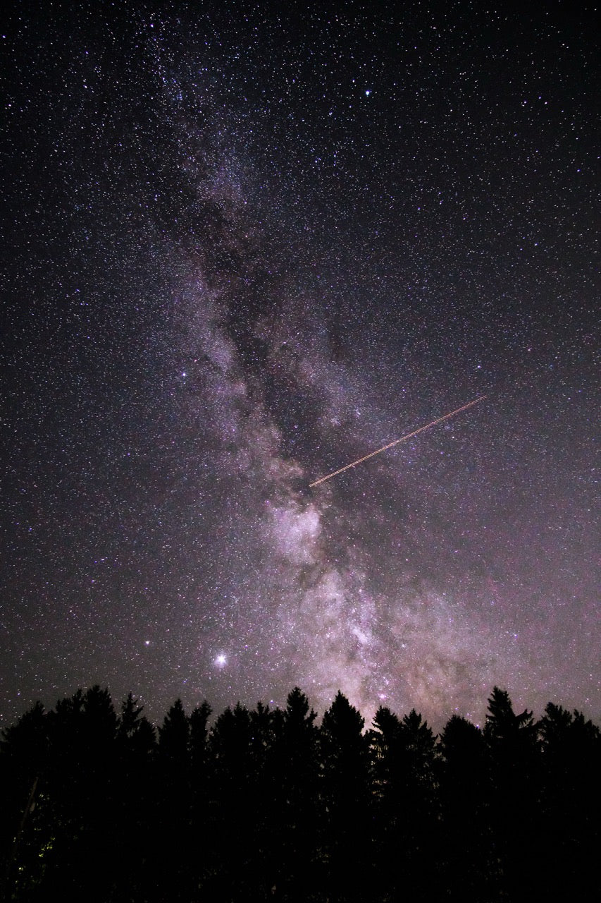 Galactic Core Over Pines