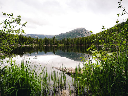Alpine Lake Meadow