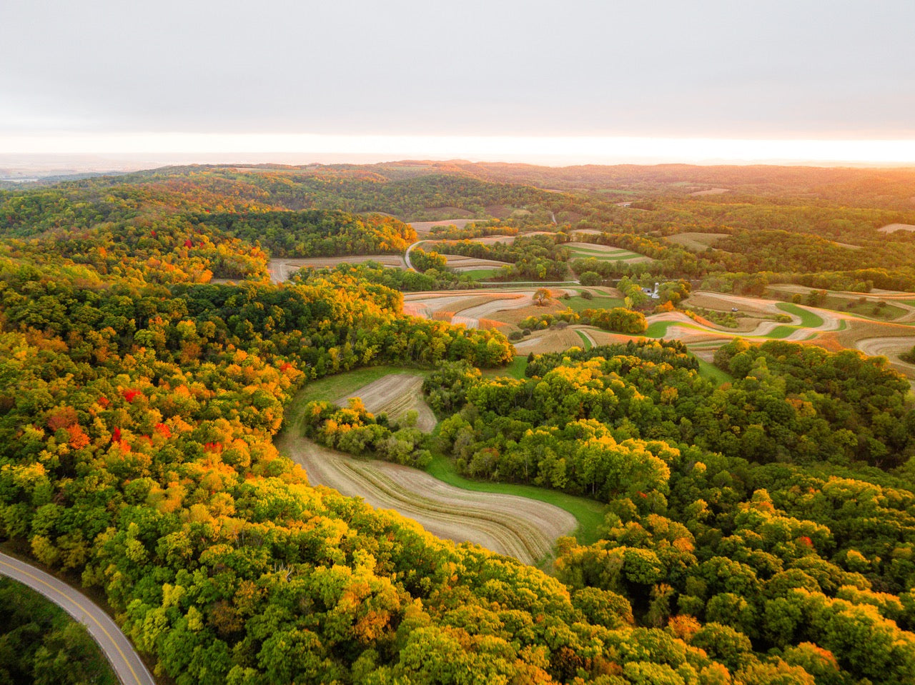 Bluff Landscape Glow
