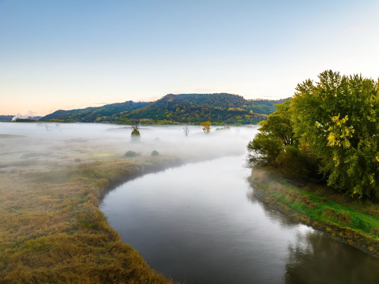 Lowland Mist Bend