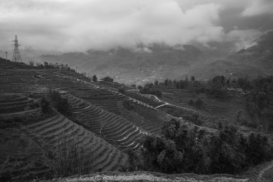 Mountain Terraces
