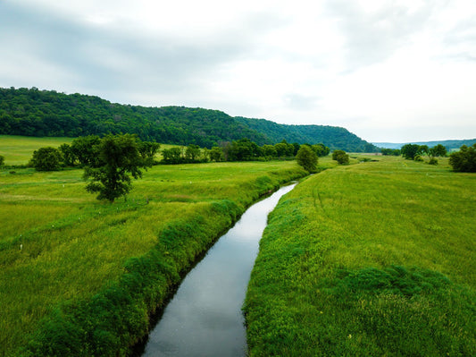 Verdant Pasture Creek