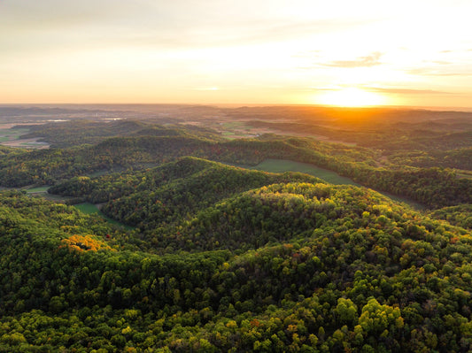 Warm Dimensional Ground