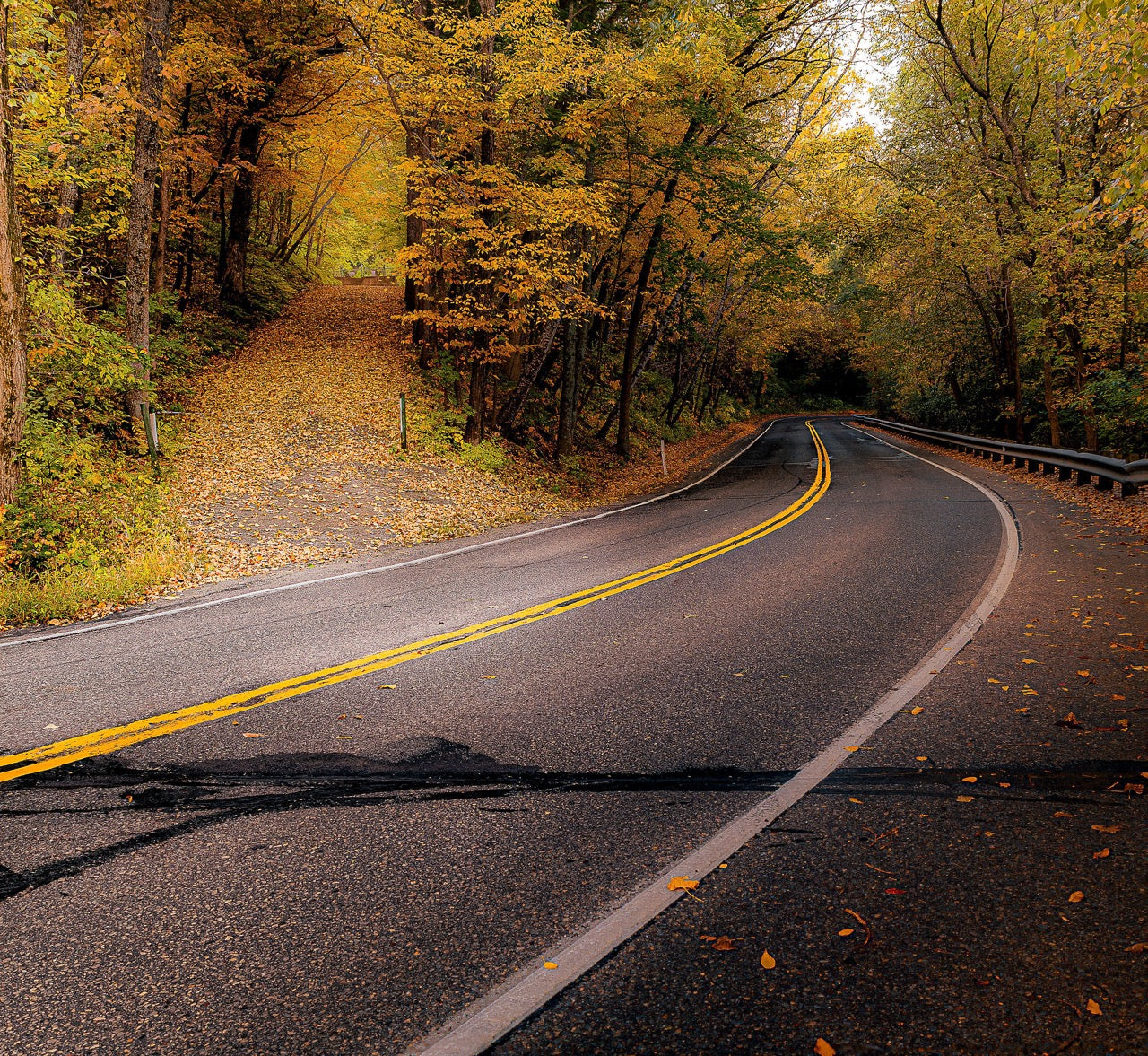 Fall Roadway Turn