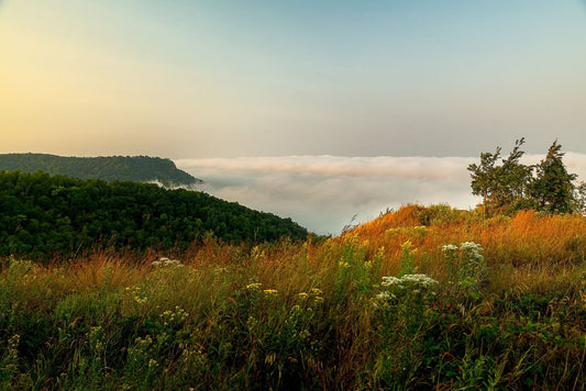 Morning Height Expanse