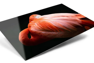 Metal Prints Max