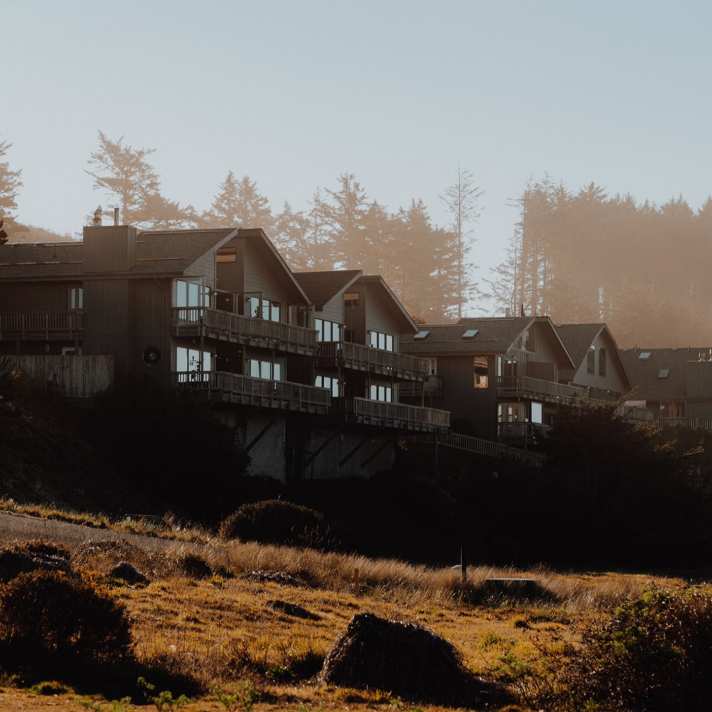 Apartments by — Bailey Nelson