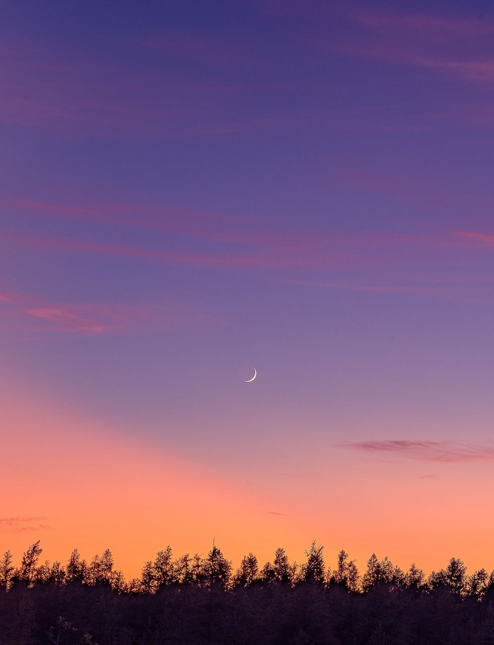 Crescent Moon Horizon