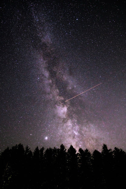 Galactic Core Over Pines