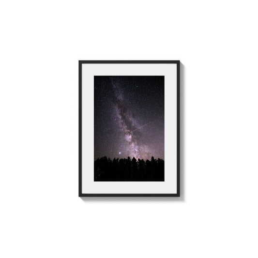 Galactic Core Over Pines