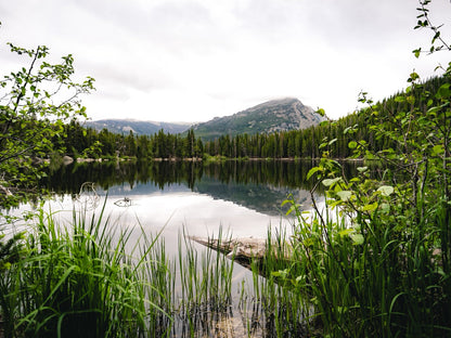 Alpine Lake Meadow