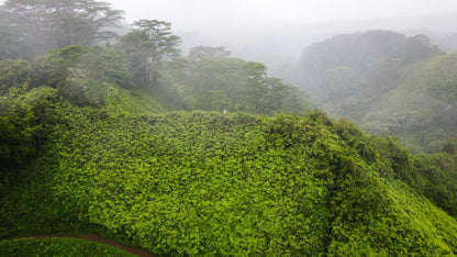 Deep Verdure Cloudscape