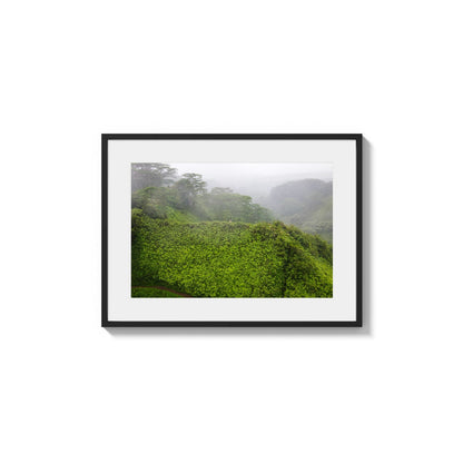 Deep Verdure Cloudscape
