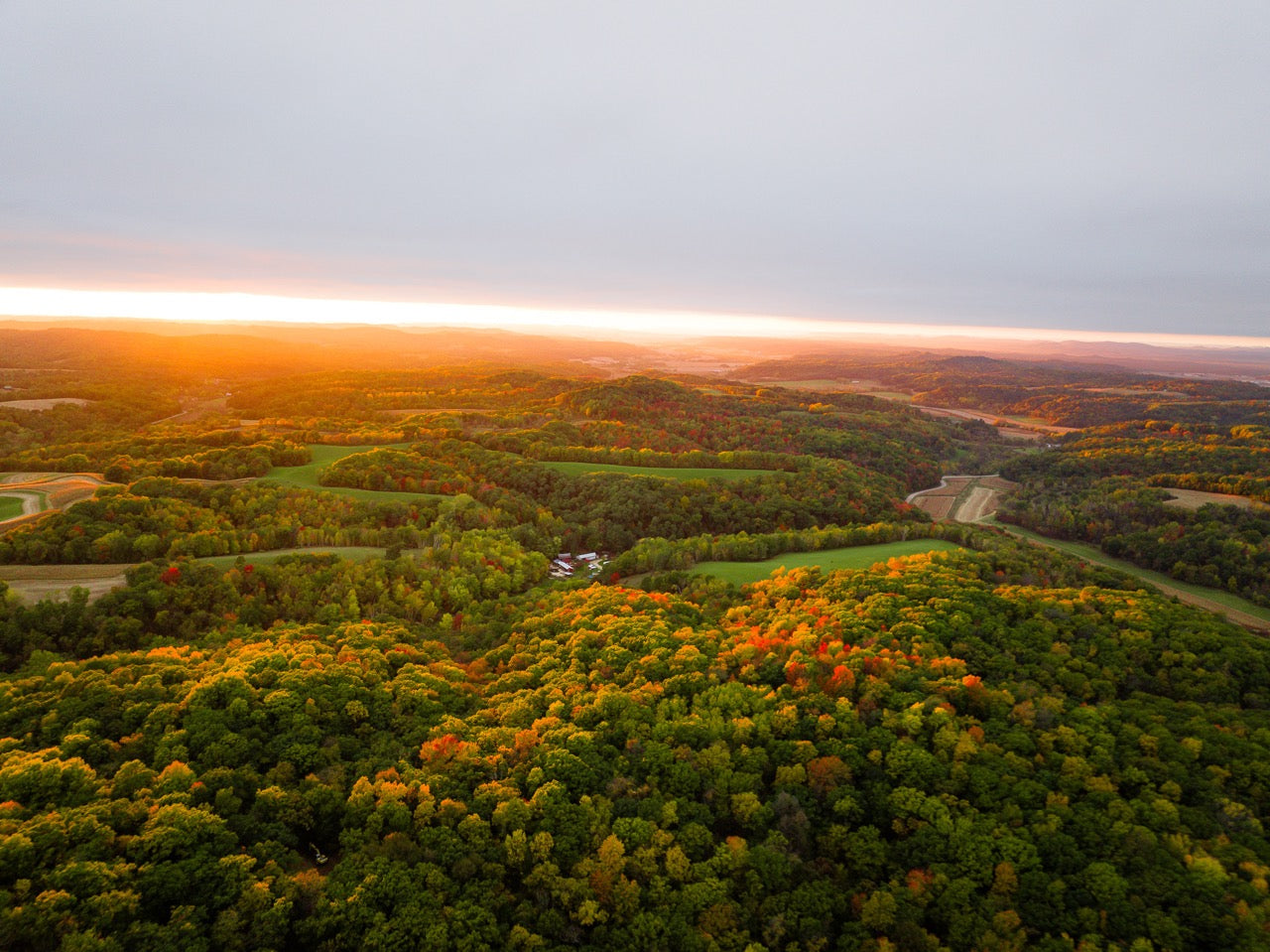 Hilly Canopy Radiance