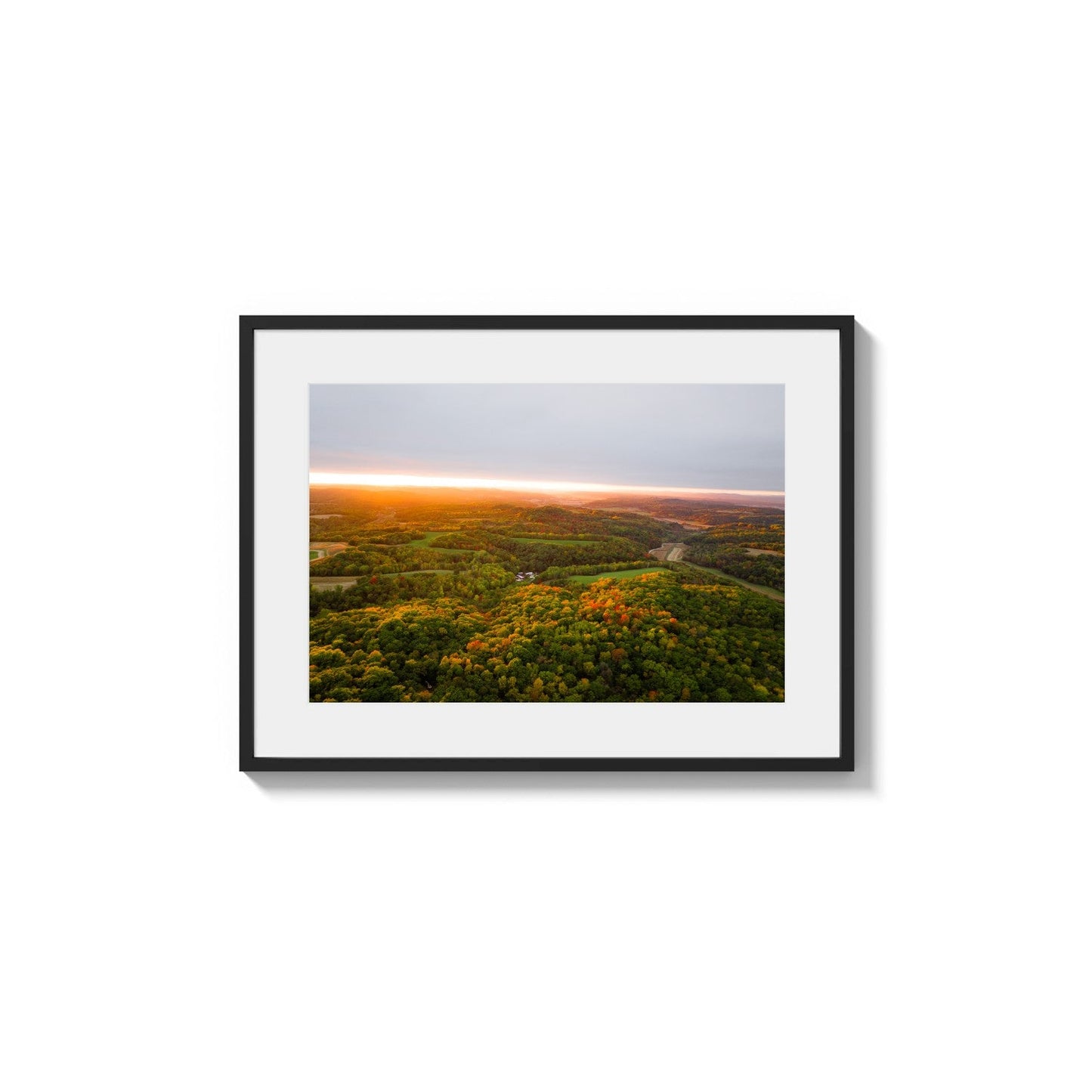 Hilly Canopy Radiance