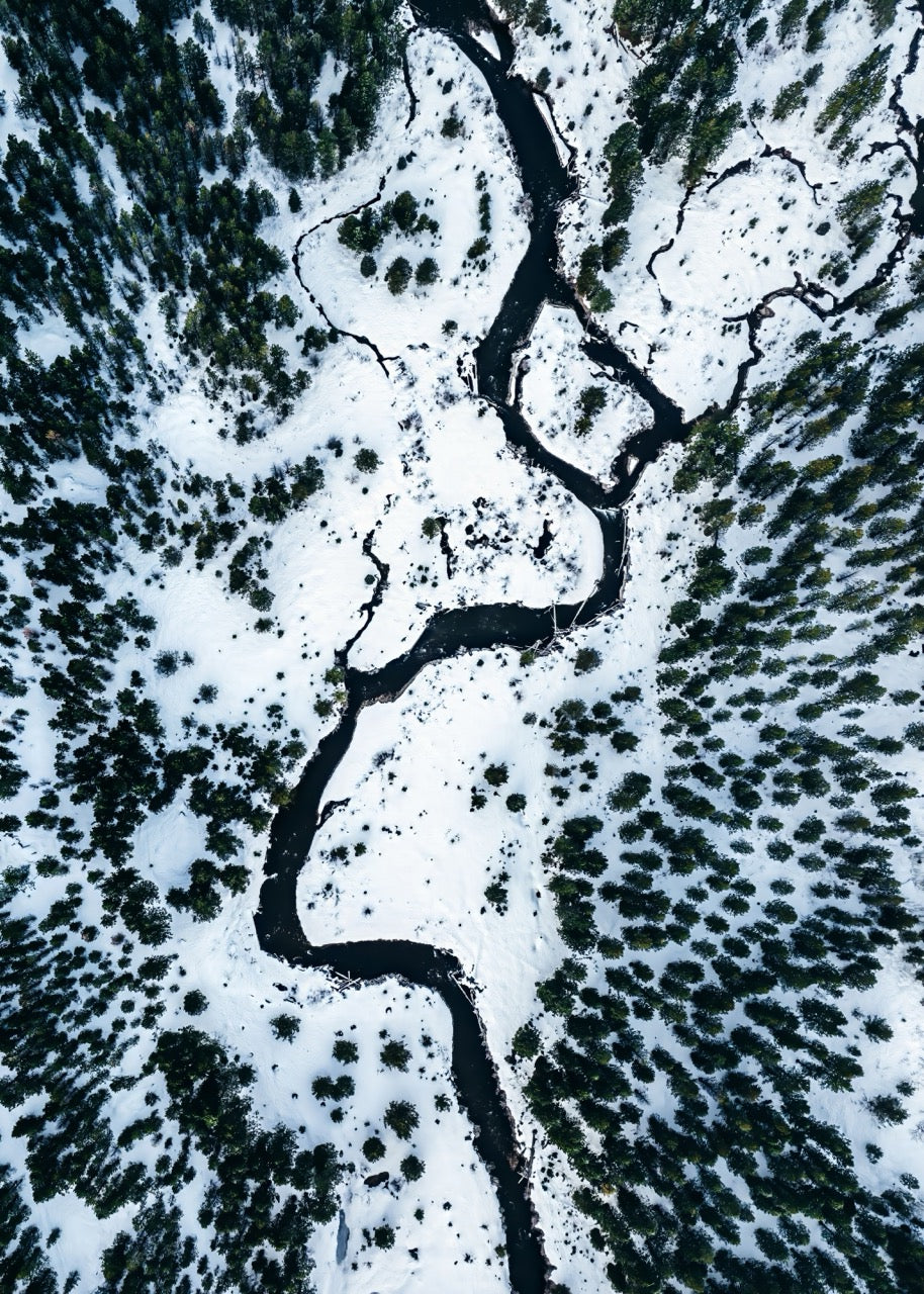 Serpentine Freeze Pattern