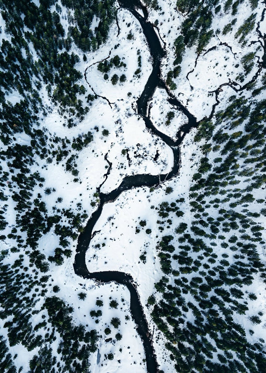 Serpentine Freeze Pattern