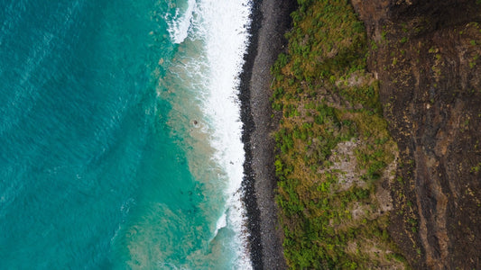 Turquoise Beach Meeting