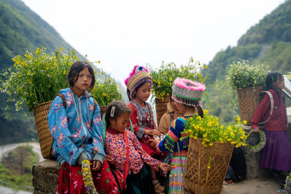 Upland Flower Carriers