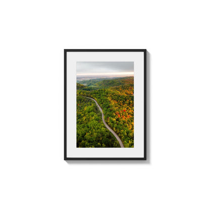 Vast Seasonal Treetops