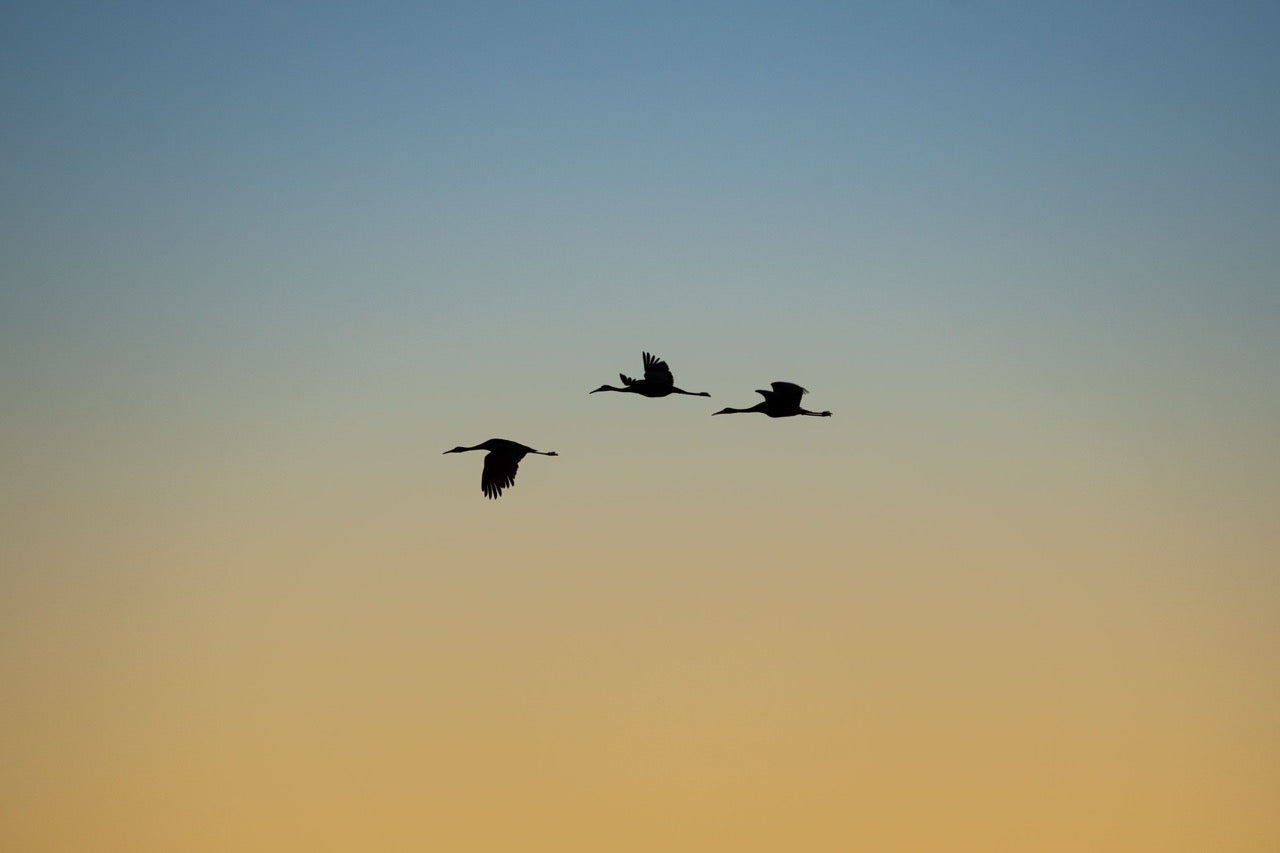 Amber Celestial Journey