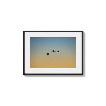 Amber Celestial Journey