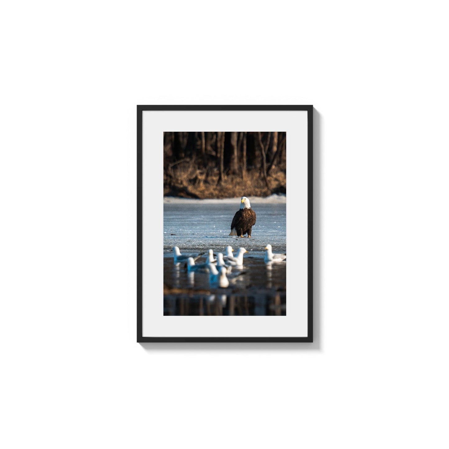 Apex Predator Stance