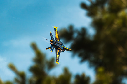 Blue Angels (#4)