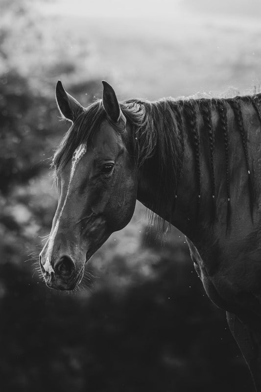 Braided Steed Figure
