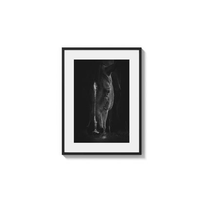 High Contrast Glimmer