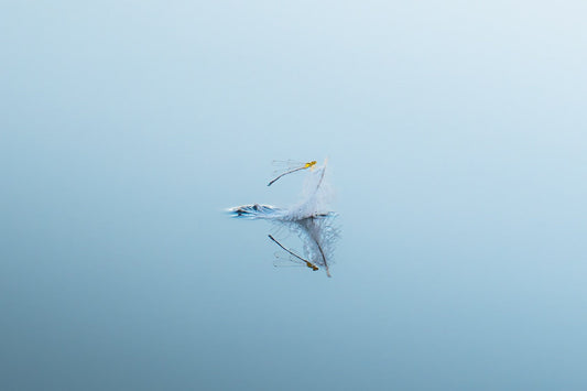 Pale Blue Apparition