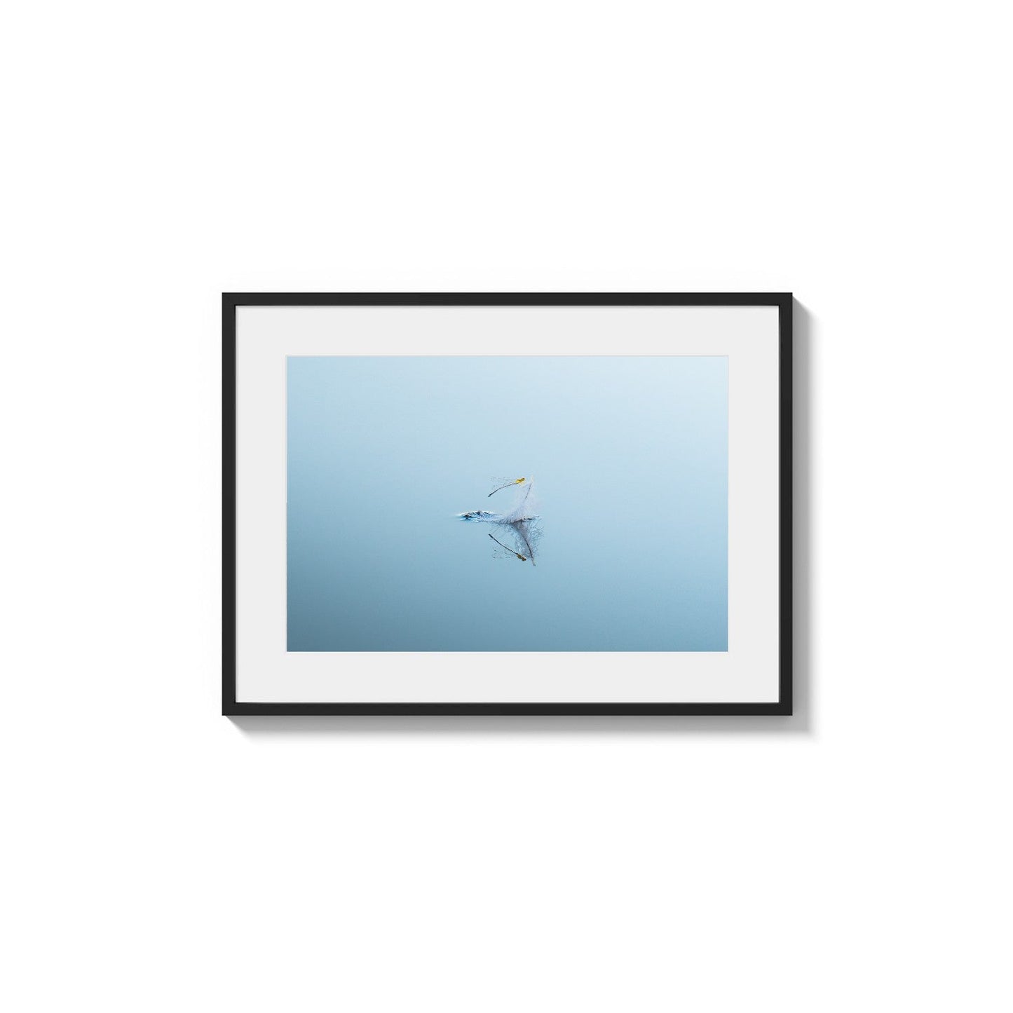 Pale Blue Apparition