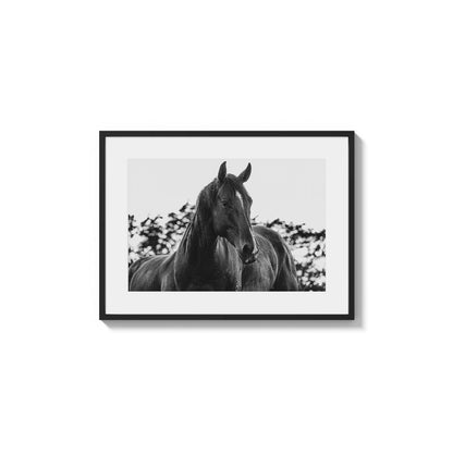 Sleek Power Monochrome