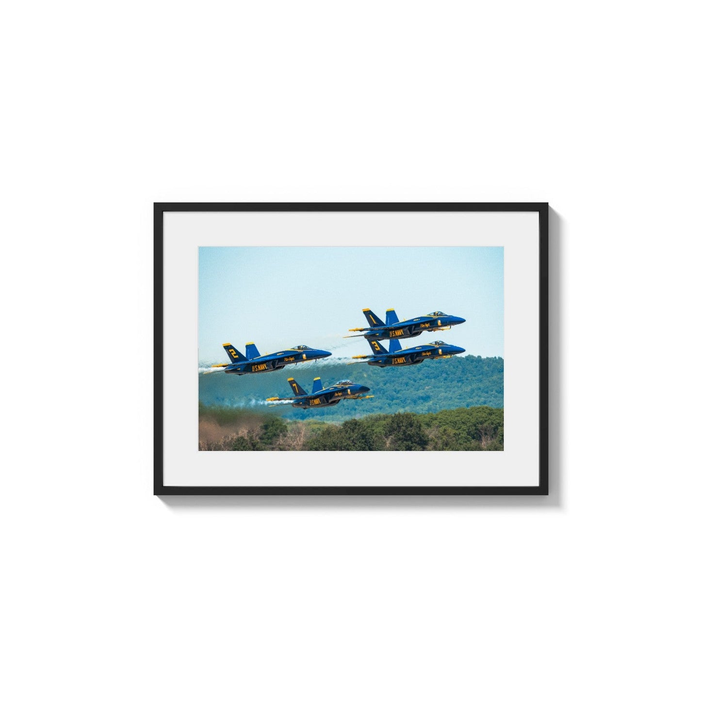 Squadron Aerobatic Show