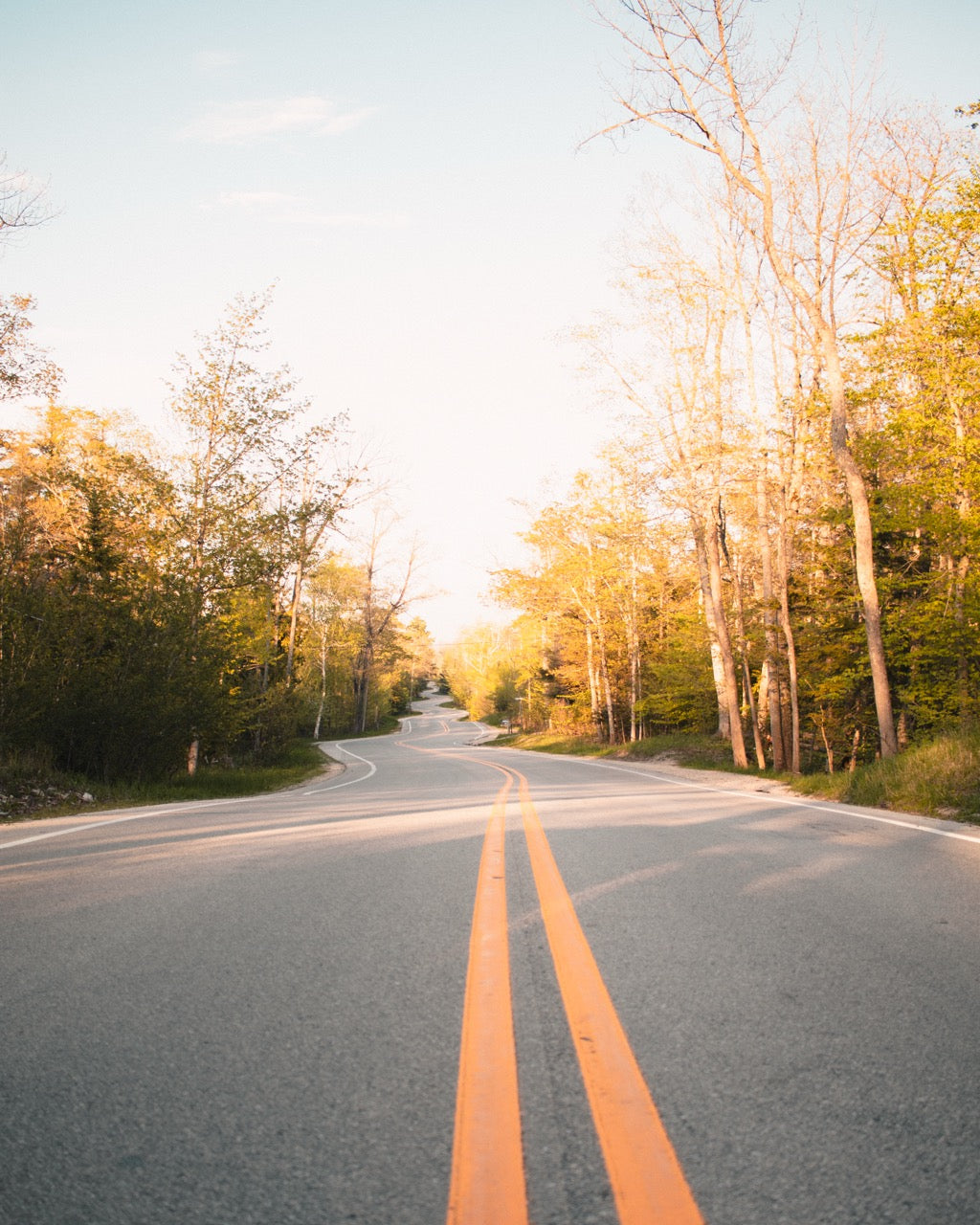 Jens Jensen Winding Road