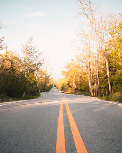 Jens Jensen Winding Road