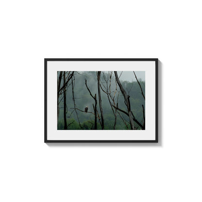 Avian Figure Lookout