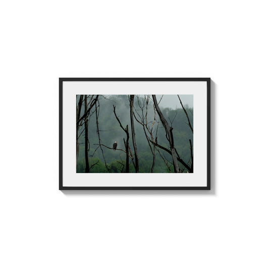 Avian Figure Lookout