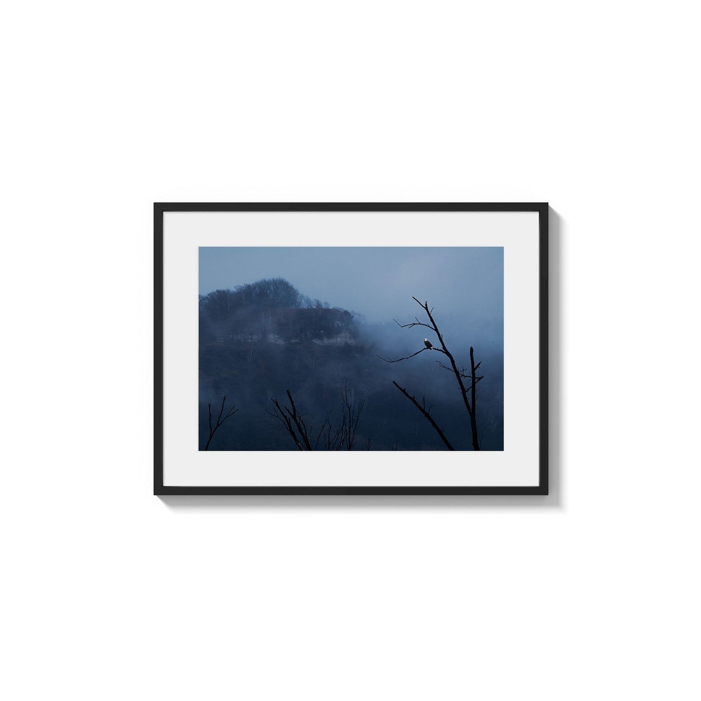 Bluff Fog Isolation