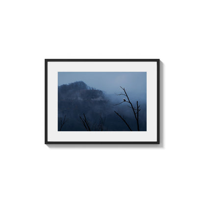 Bluff Fog Isolation