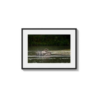 Bursting Droplets Motion