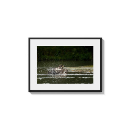 Bursting Droplets Motion