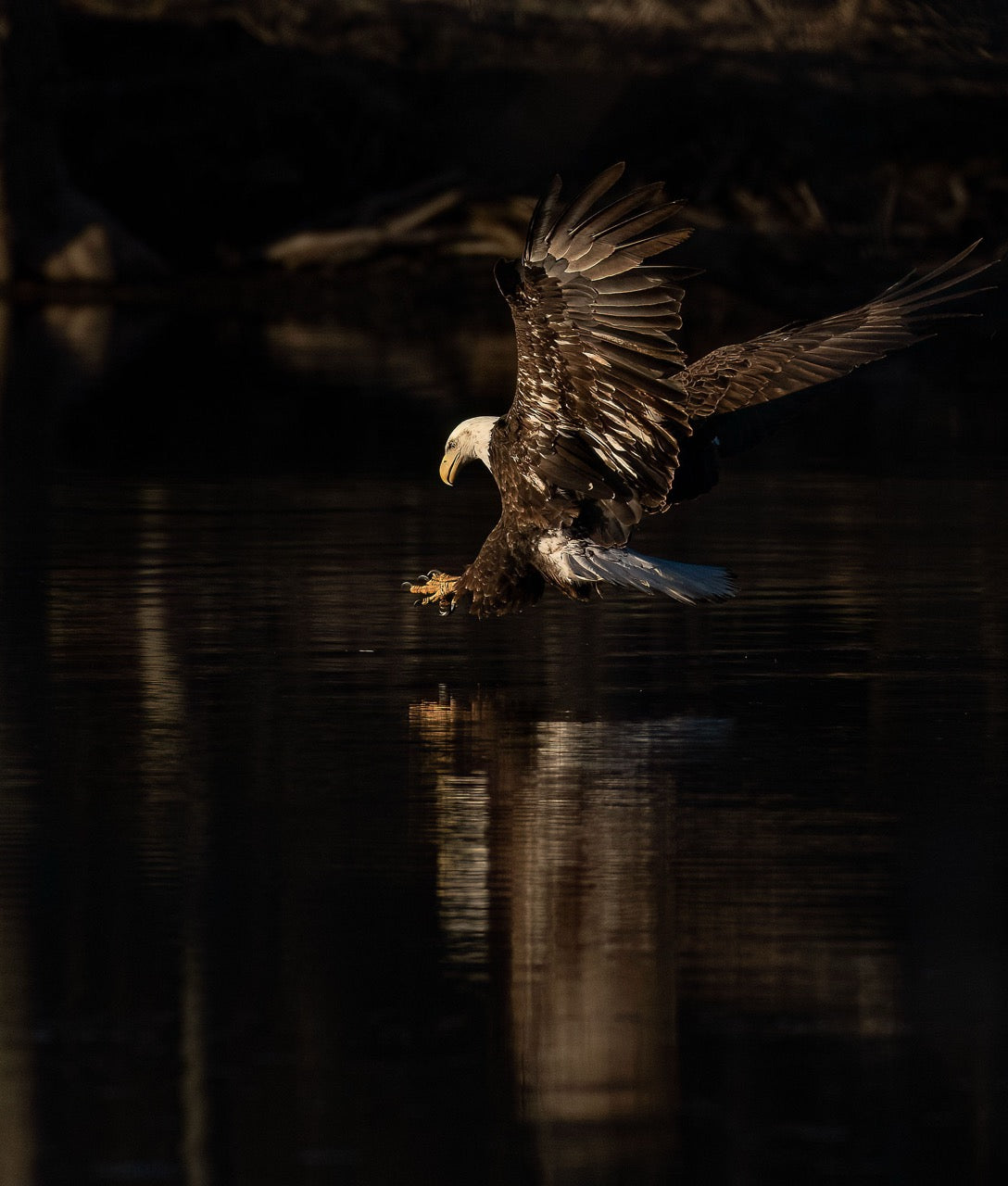 Descent Reflected Action
