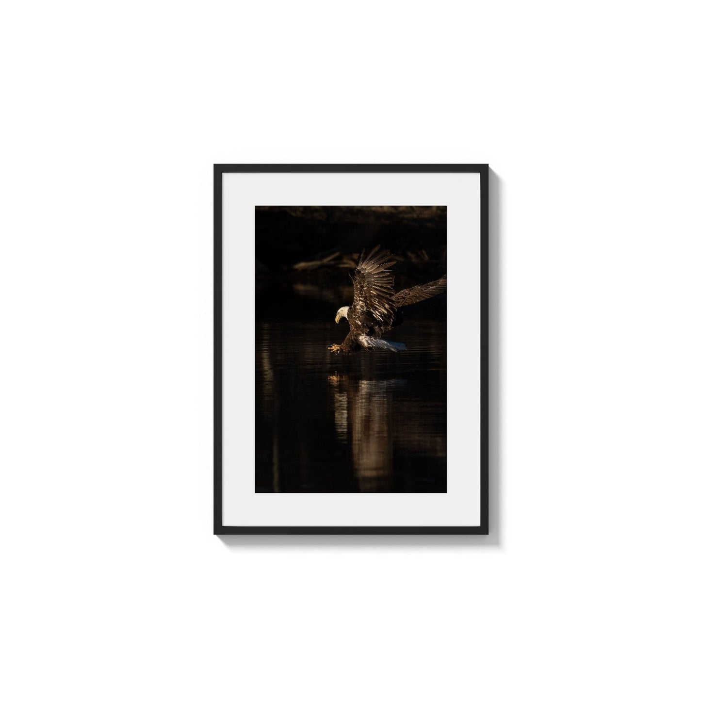 Descent Reflected Action