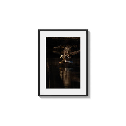 Descent Reflected Action