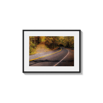 Fall Roadway Turn