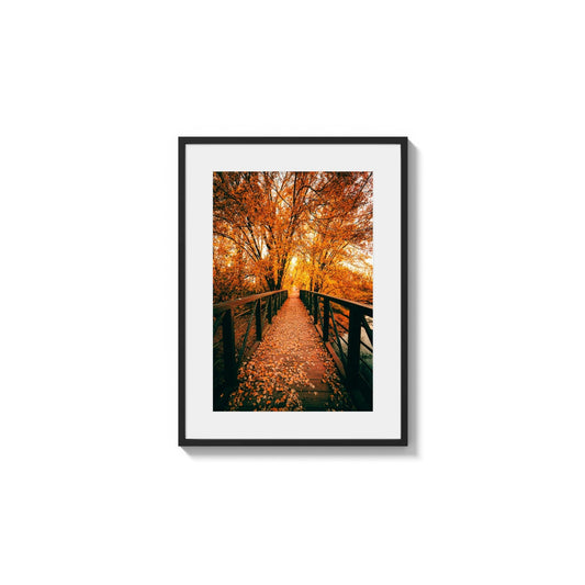 Golden Season Crossing