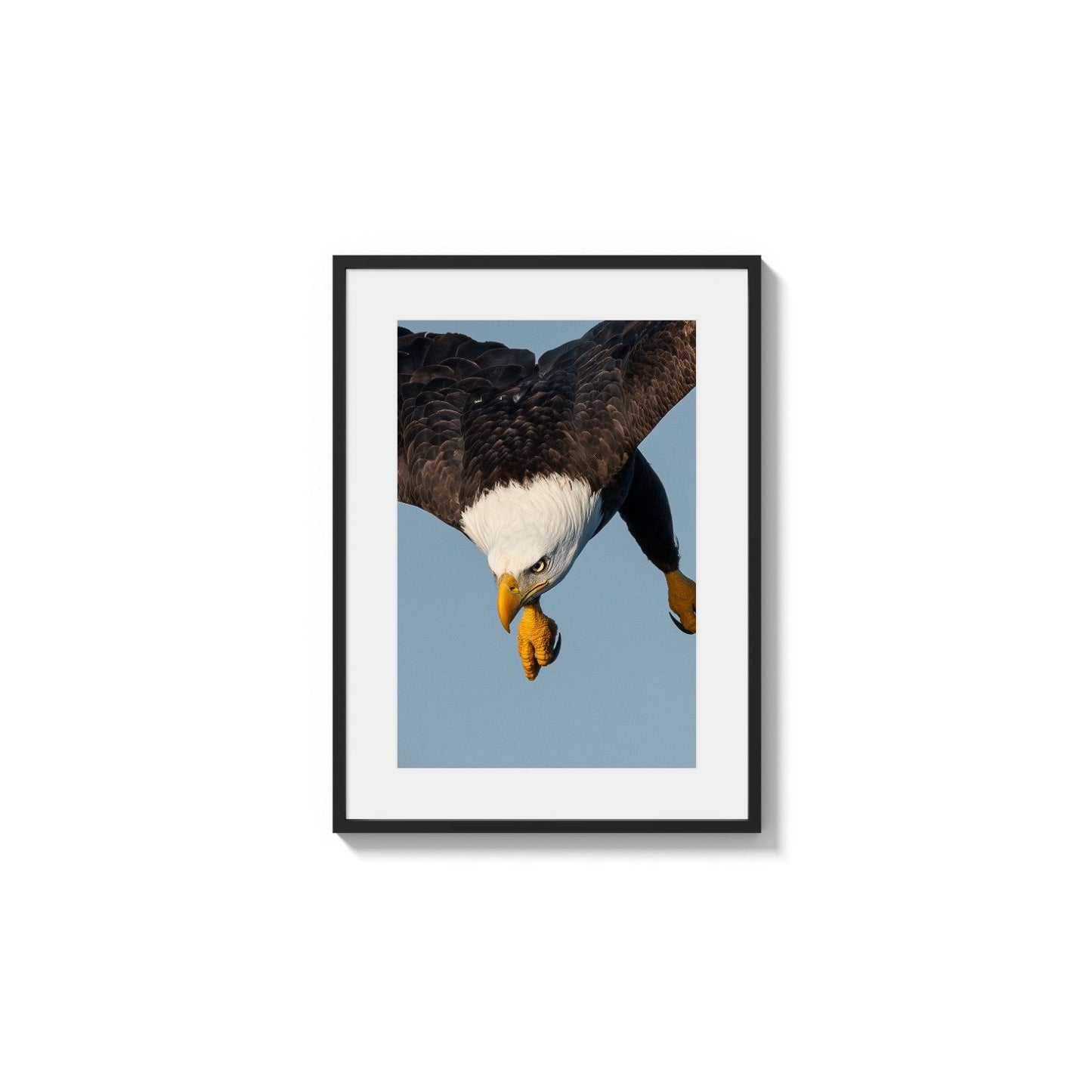 Intense Aerial Maneuver