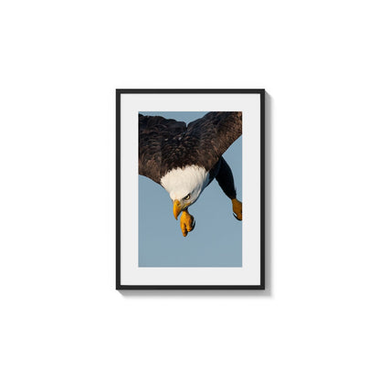 Intense Aerial Maneuver